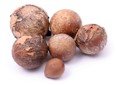 Tamanu