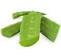 Aloe