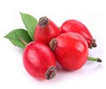 Rosehip