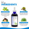 Blue Beautifly Organic Amalaki Scalp Oil Serum key ingredients are amalaki extract, brahmi extract, fo-ti extract, and saw palmetto extract